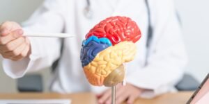 A Traumatic Brain Injury caused in a Toronto car accident requires an experienced TBI lawyer